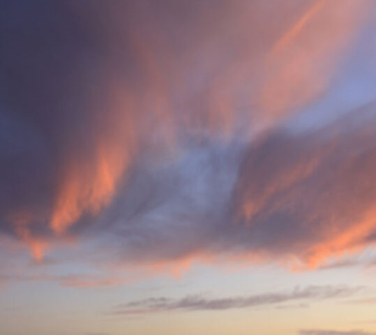 Urna eget erat non purus