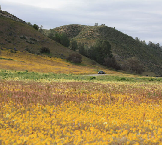 At vero eos et accusamus et iusto
