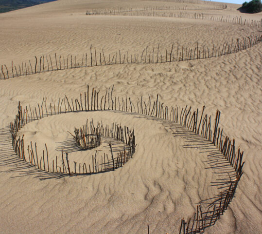 Aenean bibendum elementum pede